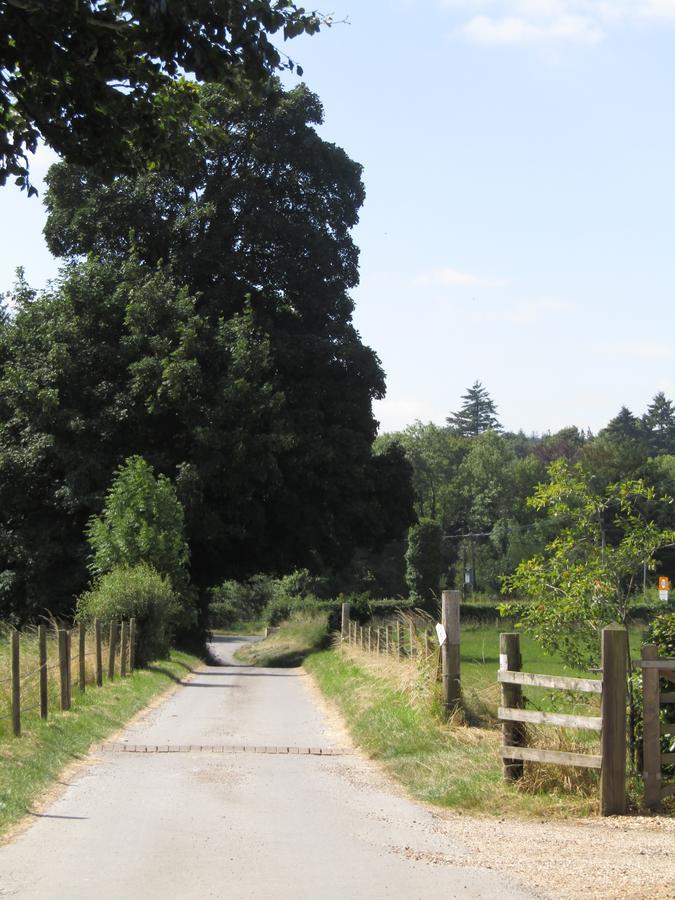 Home Farm Boreham Warminster Buitenkant foto