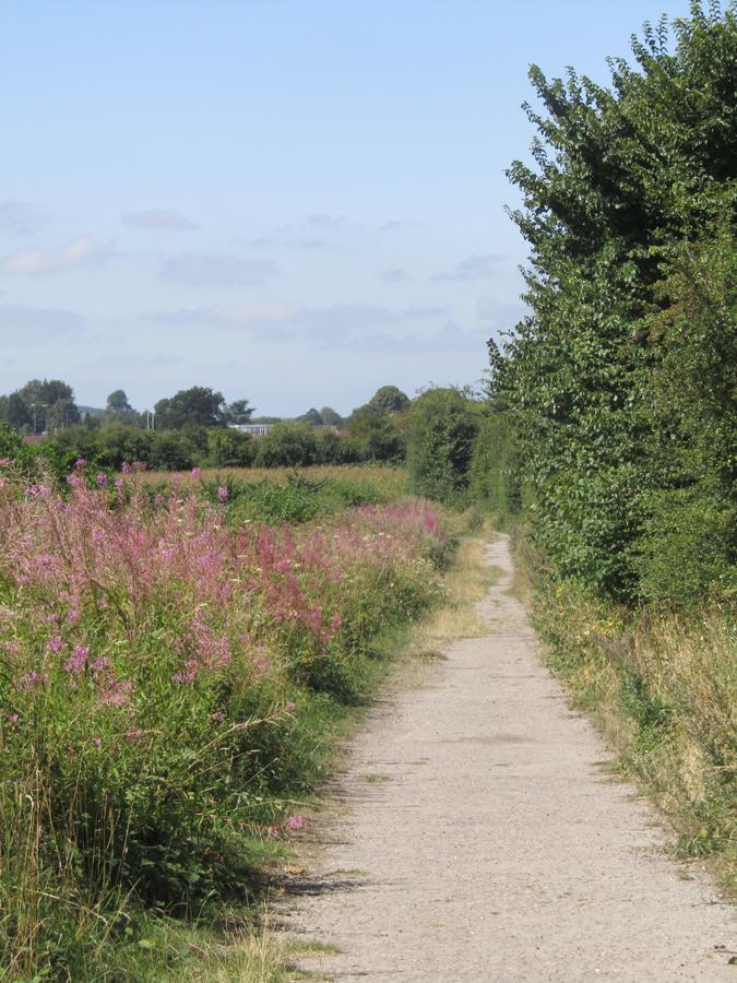 Home Farm Boreham Warminster Buitenkant foto